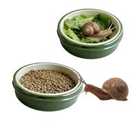 Lot de 2 gamelles à eau et nourriture pour escargots terrestres, ermites, crabes, lézards et gecko (vert)