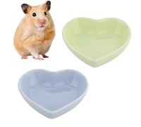 Lot de 2 gamelles anti-retournement en céramique pour hamster, gerbille, hérisson, rat, rongeur (vert et violet)