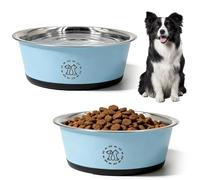 Lot de 2 gamelles pour chien en acier inoxydable 650 ml + 1 000 ml - Anti-déversement - Antidérapantes - En métal - Pour chiens et chats de petite et moyenne taille
