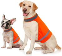 Lot de 2 gilets de sécurité pour chien - Orange blaze - Garde les chiens visibles dans toutes les activités de plein air - Gilet réfléchissant pour les promenades nocturnes, la chasse, la chasse pour