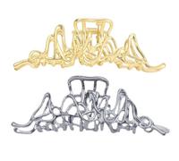 Lot de 2 grandes pinces à cheveux en métal pour femme