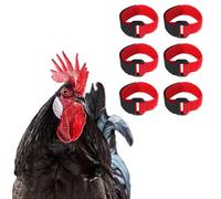Lot de 2 grands cols de coq - Col de coq - Anti-bruit - Lame pour col de poulet - Ceinture en nylon - Le col de coq empêche les poulets de crier et de s'entraver