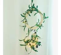 Lot de 2 Guirlandes de Olive Artificielles Vignes Plante avec LED Lumineuses Suspendus Feuille d'olive Guirlandes à Piles pour Mariage Fête Jardin Décoration Maison Anniversaire (Rouge Olive)
