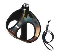 Lot de 2 harnais avec laisse pour petit chien - Motif zoo kangourou amusant - Pas de fuite - Facile à promener - Pour dressage et promenade