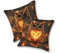 Lot de 2 Housse Coussin de canapé 35x35cm Carrées Velours Housse de Coussin Douces Cecoration de Maison Coussin Canape Décoratives de Luxe Printemps été Automne Hiver, La Chouette du CœUr, C-890