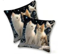 Lot de 2 Housse Coussin de canapé 35x35cm Carrées Velours Housse de Coussin Douces Cecoration de Maison Coussin Canape Décoratives de Luxe Printemps été Automne Hiver, lit Salon, Le Chat éToilé, C-919