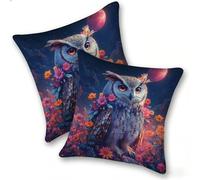 Lot de 2 Housse Coussin de canapé 55x55cm Carrées Velours Housse de Coussin Douces Cecoration de Maison Coussin Canape Décoratives de Luxe Printemps été Automne Hiver, La Chouette Lune, C-984