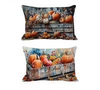 Lot de 2 Housse de Coussin 60x80cm Ferme Housse Coussin Exterieur Impermeable pour Salon de Jardin Lin Double Face Décoratives Taie d'oreiller pour Patio,Jardin,Balcon,Canapé Chaise Citrouille -T1115