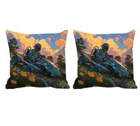Lot de 2 Housse de Coussin 70x70cm Automne Coussin Salon de Jardin Exterieur Impermeable Velour Double Face Décoratives Taie d'oreiller pour L'été,Outdoor Terrasse,Banc,Canapé,Chaise Fleur -T779