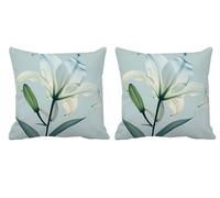 Lot de 2 Housse de Coussin 70x70cm Lis Coussin Salon de Jardin Exterieur Impermeable Lin Double Face Décoratives Taie D'oreiller pour L'été,Outdoor Terrasse,Banc,Canapé,Chaise Bleu Œuf De Canard -T878