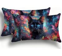 Lot de 2 Housse de Coussin en Velours Ciel Étoilé Décoratif Canapé Taie d'oreiller Doux et Douillet Decoration,avec Fermeture Éclair pour Maison Chambre Jardin Extérieur Canapé 25x50 Le Chat 1 F0A-664