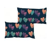 Lot de 2 Housses de Coussin 40 x 80 cm, Taie Oreiller Amour rétro, Velours Housse Coussin Rectangle, Fermeture à glissière Invisible, Design Moderne, Taie d'oreiller pour Patio Jardin Salon S0-2