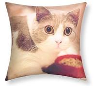 Lot de 2 Housses de Coussin 40x40 cm Motif Chat Gamelle Avizar Multicolore Multicolore G