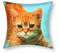 Lot de 2 Housses de Coussin 40x40 cm Motif Chat Jaune Avizar Jaune Jaune G