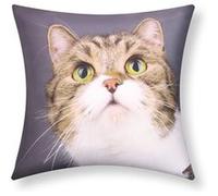 Lot de 2 Housses de Coussin 40x40 cm Motif Chat Moustache Avizar Multicolore Multicolore G