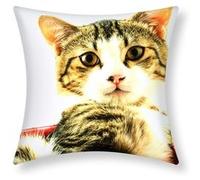 Lot de 2 Housses de Coussin 40x40 cm Motif Chat Panier Rose Avizar Multicolore Multicolore G