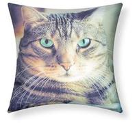 Lot de 2 Housses de Coussin 40x40 cm Motif Chat Shorthair Avizar Multicolore Multicolore G
