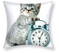 Lot de 2 Housses de Coussin 40x40 cm Motif Chaton Horloge Avizar Multicolore Multicolore G
