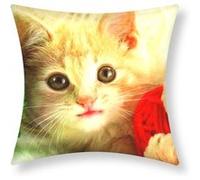Lot de 2 Housses de Coussin 40x40 cm Motif Chaton Pelote Avizar Multicolore Multicolore G