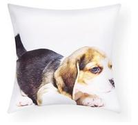 Lot de 2 Housses de Coussin 40x40 cm Motif Chien Beagle Avizar Blanc Blanc G