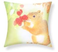 Lot de 2 Housses de Coussin 40x40 cm Motif Écureuil Avizar Multicolore Multicolore G