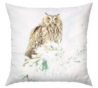Lot de 2 Housses de Coussin 40x40 cm Motif Hibou Neige Avizar Multicolore Multicolore G