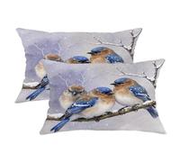 Lot de 2 housses de coussin décoratives en velours doux et lavables pour maison, chambre à coucher, salon, canapé, décoration d'intérieur, 50,8 x 30,5 cm, motif branches réalistes et hivernales, bleu