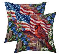 Lot de 2 housses de coussin décoratives lavables en velours doux avec drapeau patriotique rustique et patriotique - Pour salon, lit, bureau, canapé, chaise - 50,8 x 50,8 cm - Rouge cardinal