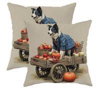 Lot de 2 housses de coussin décoratives motif récolte d'automne, adorable Border Collie avec citrouilles et imprimé s, housses de coussin confortables de style ferme pour la décoration de votre cana