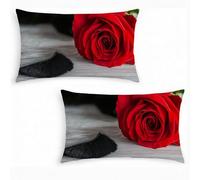 Lot de 2 Housses de Coussin en Velours 40x60cm RéTro - Taie d'Oreiller Décorative Rectangulaire pour Canapé, Salon et Chambre Housse Coussin Rose, Design Double Face Imprimée, Doux et Aesthetic j0-275