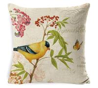 Lot de 2 Housses de Coussin Vintage rustiques en Forme d'oiseau - Housse de Coussin carrée en Lin for canapé, taie d'oreiller décorative rétro de Ferme 45,7 x 45,7 cm(Color 2)