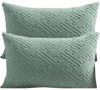 Lot de 2 Housses de Coussins Décoratif Canapé Taie d'oreiller Canapé Rectangulaire Super Doux Decoration Maison Salon Chambre pour Canapé(Green,65x35cm/26x14in)