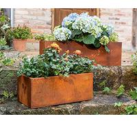 Lot de 2 jardinières en métal aspect rouille - Jardinière - Jardinière surélevée - Décoration de jardin pour l'extérieur