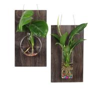 Lot de 2 Jardinières Murales en Verre à Suspendre avec Planche à Suspendre en Bois, Station de Propagation Murale, Vase de Terrarium pour Plantes Hydroponiques, (Vase à gâteau
