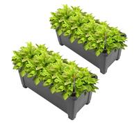 Lot de 2 jardinières surélevées - Volume : 50 l - Réservoir d'eau pour arrosage goutte-à-goutte du balcon - Pieds amovibles - Convient pour l'extérieur - Anthracite