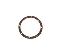 Hayward – Joints de bride pour bonde de fond SP1048/SP1049 – Lot de 2 – Beige (SPX1048DPAK2)