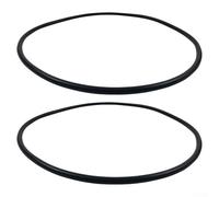 Lot de 2 joints toriques de rechange pour tête de filtre de piscine Hayward StarClear Plus CX900F compatible avec le boîtier de plaque d'étanchéité et le joint torique Volute