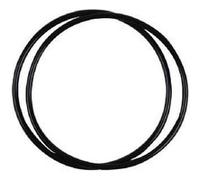 Lot de 2 joints toriques pour Filtre Douche Sprite