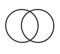 Lot de 2 joints toriques SPX3000S pour couvercle de pré-filtre - Compatible avec Hayward Super II SP3000 Série SP3007 SP3010 - Joint d'étanchéité en caoutchouc hermétique pour pompe de piscine et