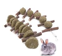 Lot de 2 jouets à mâcher pour les dents de lapin, hamster, pomme, herbe naturelle, jouets pour petits animaux de compagnie, accessoires pour chinchilla, cochons d'Inde, lapin, souris, gerbille