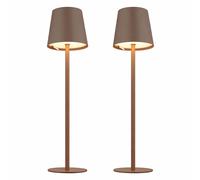 Lot de 2 lampes de table Lampe d'extérieur à intensité variable LED Lampe de table batterie USB Lampe de jardin, métal plastique brun opale, 3W 130Lm blanc chaud, DxH 10,6x36 cm