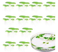 Lot de 2 lentilles d'eau flottantes réalistes pour aquarium avec racines et barrière anti-lumière du soleil et contrôle des algues