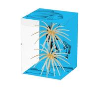 Lot de 2 leurres de hérisson de mer réalistes en élastique doux, artificiels amusants pour poissons perches | pour truite, crappie, poisson chat, saumon, brochet pour eaux douces et salées, rivière
