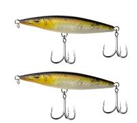Lot de 2 leurres de pêche flottants de 90 à 110 mm, matériel de pêche de Surface for Bars, bonites Leurre Wobbler(Wit,110mm-16g)