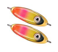 Lot de 2 leurres de pêche lumineux pour la pêche de nuit, lumière LED étanche avec motif œil de poisson, compatibilité d'appâts de 9 g et 13 g (couleur 1)