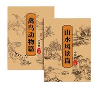 Lot de 2 livres de coloriage chinois - Avec dessin - Fournitures d'écriture pour adolescents, adultes, débutants