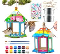 Lot de 2 mangeoires à oiseaux, kit de bricolage pour enfants, jardin, peinture d'extérieur, nichoir en bois, activités artistiques artisanales pour enfants, garçons et filles de 8 à 12 ans, 4 à 6 ans