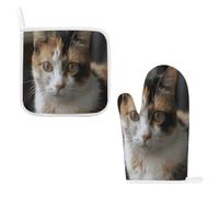 Lot de 2 maniques et maniques pour chat