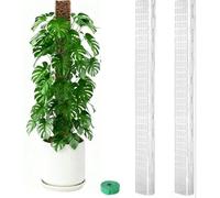 Lot de 2 mâts en mousse en plastique avec géométrie D pour plantes aromatiques, y compris Monstera Adansonii et Philodendron Hederaceum 61 cm