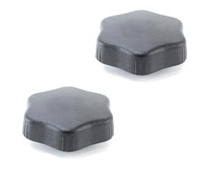 (Lot de 2) Molette de Réglage de Siège Conducteur ET Passager compatible avec CLIO III et MODUS/GRAND MODUS - 7701060686